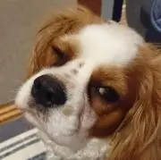☆24☆の画像