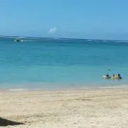 ハルナツ
