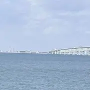 ✨スイートポテト✨の画像