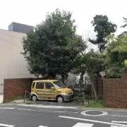 レモン[まとめ売り･自動値下げ対応]の画像