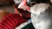 ミキワイの画像