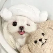 mの画像