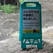 ねぎとろ