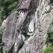 Junichi