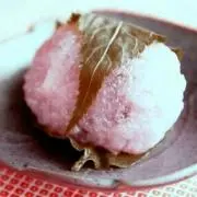 Sakura-Mocchiの画像