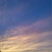 ぽむ⚠︎必ずプロフお読みください⚠︎の画像