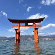 まめっち