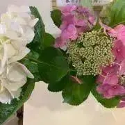 断断捨離の画像