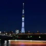 YASHIの画像