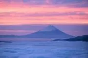 長井 仁志の画像