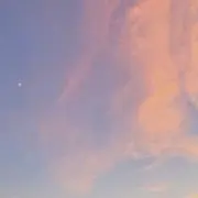 ITOSEA 9/19-28まで発送不可の画像