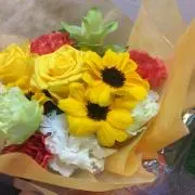 HBの画像