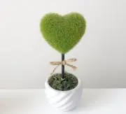 あんもろちゃんの画像