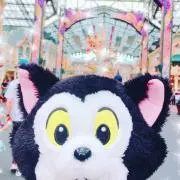 (o^^o)の画像
