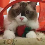 じぇら❤︎プロフ一読願います！