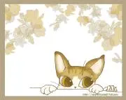 アスカ