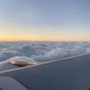 うさぎの画像