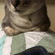 ZAC