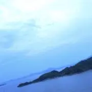 プルルの画像