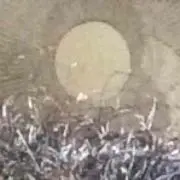 みるくここあ