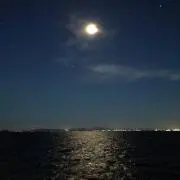 さくさく
