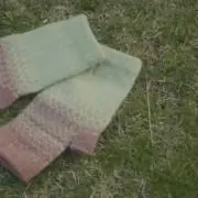 pjtd7の画像