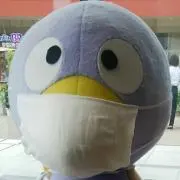 コバトンの画像