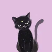 もちこの画像