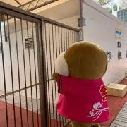アスパラ