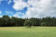 haikenの画像