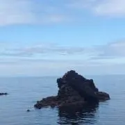manabiiin