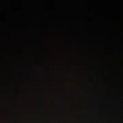 メロンの画像
