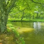 ユウの画像