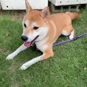 たけちゃんの画像