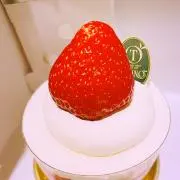 ペコの画像