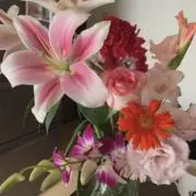 テレボート カタログギフト 五十恩 2025年 - メルカリ