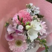 いっちゃんの画像