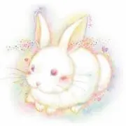 うさぎの畑の画像