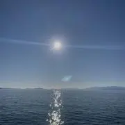 neiの画像