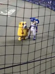 ふーちゃんの画像