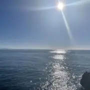 ネイビーブルーの画像