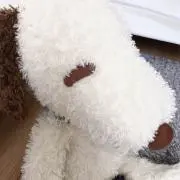 yukkoの画像