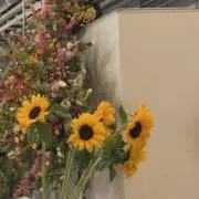 くま。の画像