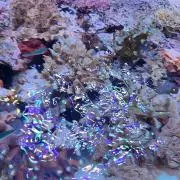 @の画像