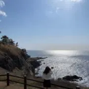 田中の画像