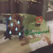 べべちゃんこ