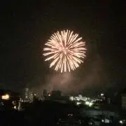 のんの画像
