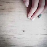 櫻木の画像