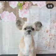 ￥たっちゃん￥