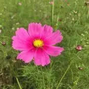 BIBA☆の画像